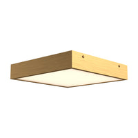 Sydney Flush Mount