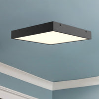 Sydney Flush Mount
