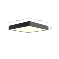 Sydney Flush Mount