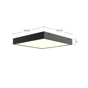 Sydney Flush Mount