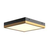 Sydney Flush Mount