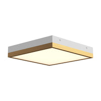 Sydney Flush Mount