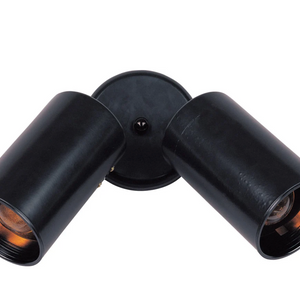 Spots 2-Light Can Wall/Flush Mount