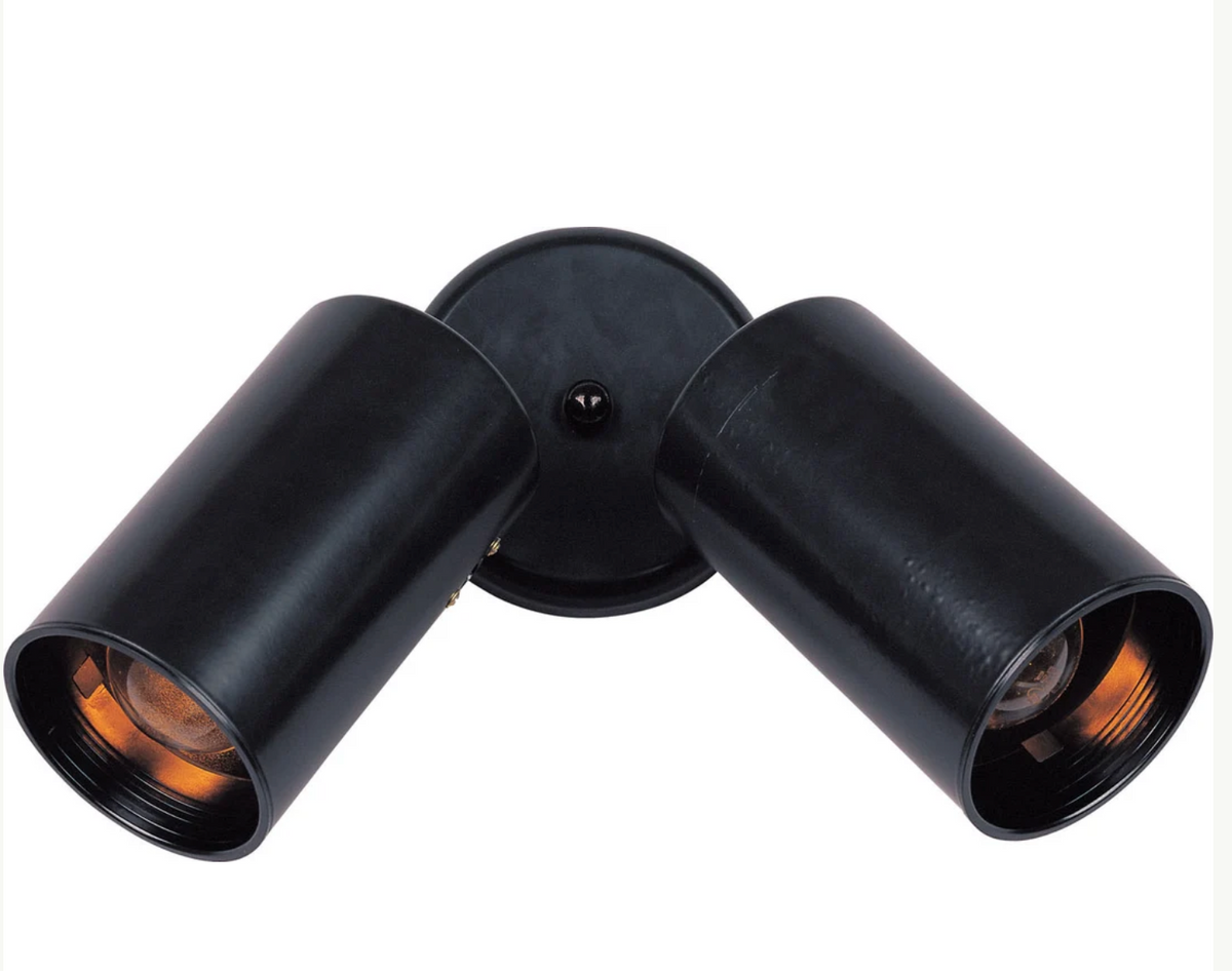 Spots 2-Light Can Wall/Flush Mount