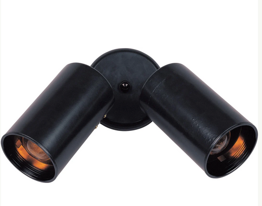 Spots 2-Light Can Wall/Flush Mount