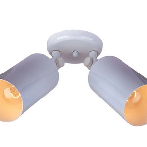 Spots 2-Light Can Wall/Flush Mount