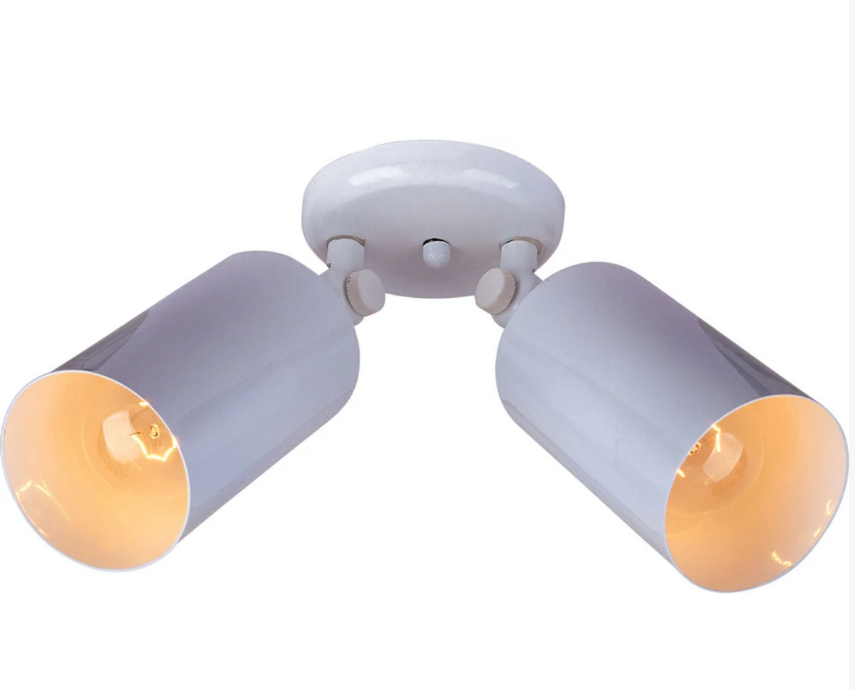 Spots 2-Light Can Wall/Flush Mount