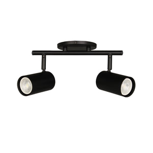 Taylor 2LT Track Light