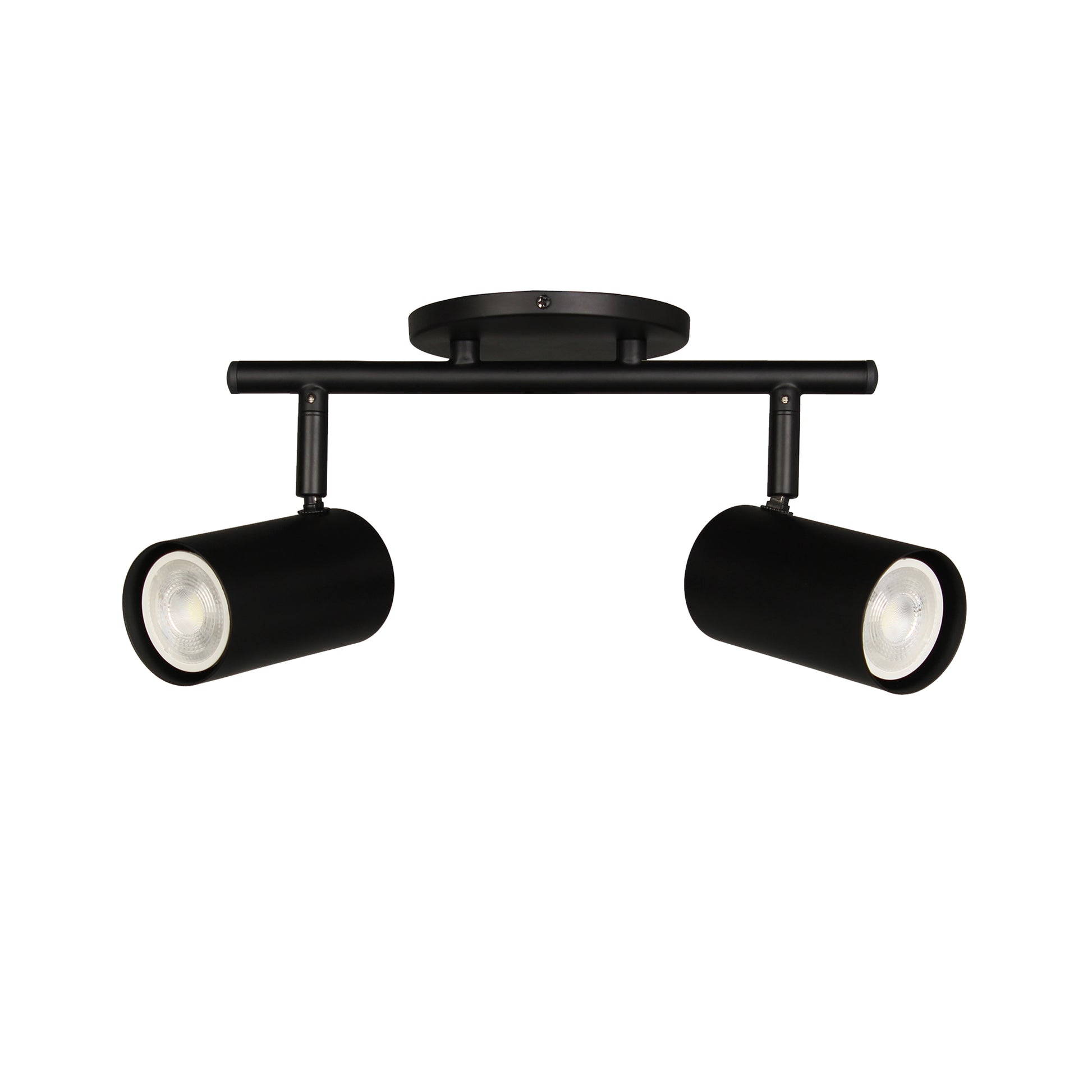 Taylor 2LT Track Light