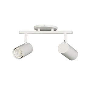 Taylor 2LT Track Light