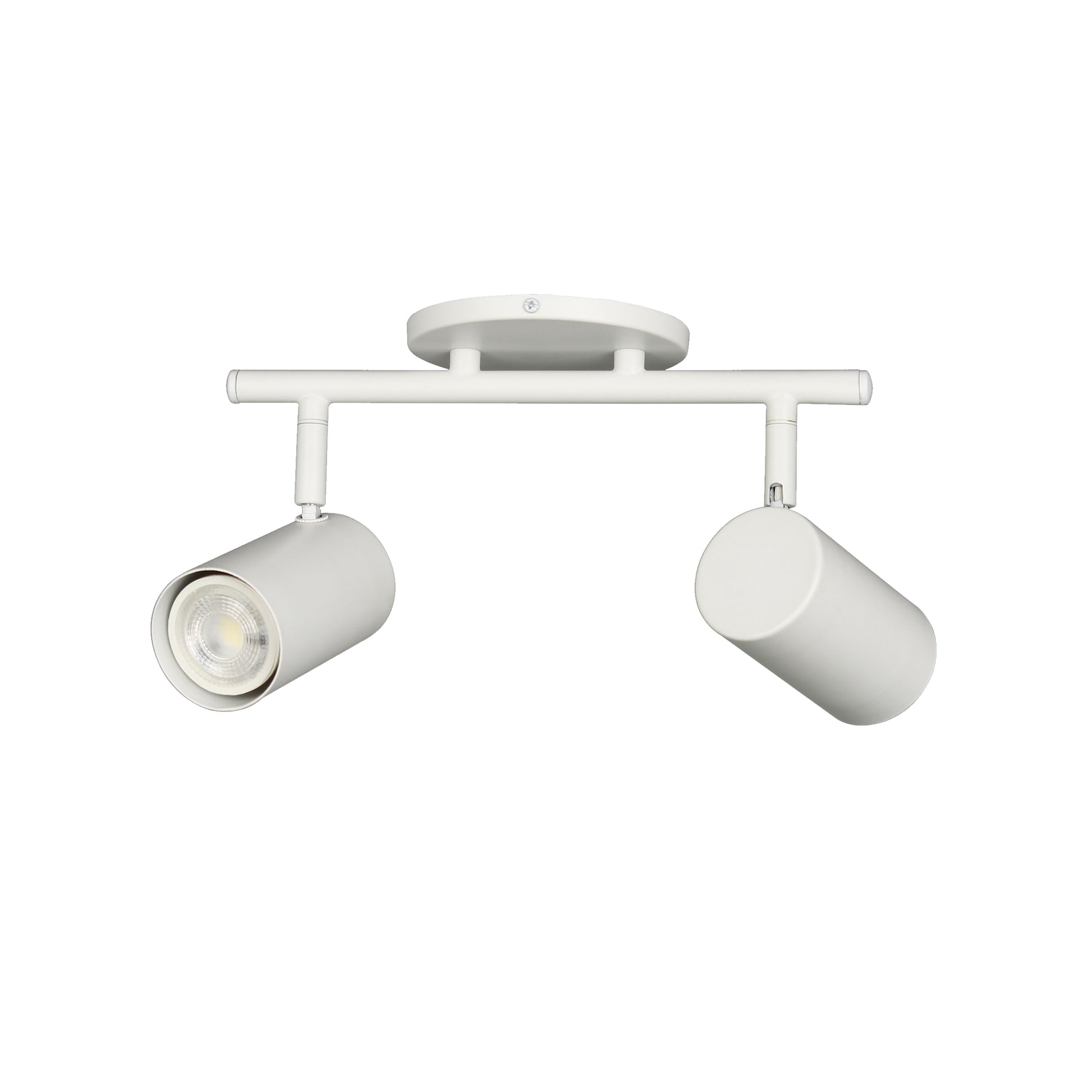 Taylor 2LT Track Light
