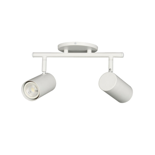 Taylor 2LT Track Light