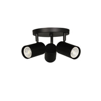 Taylor 3LT Track Light