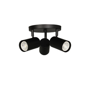 Taylor 3LT Track Light