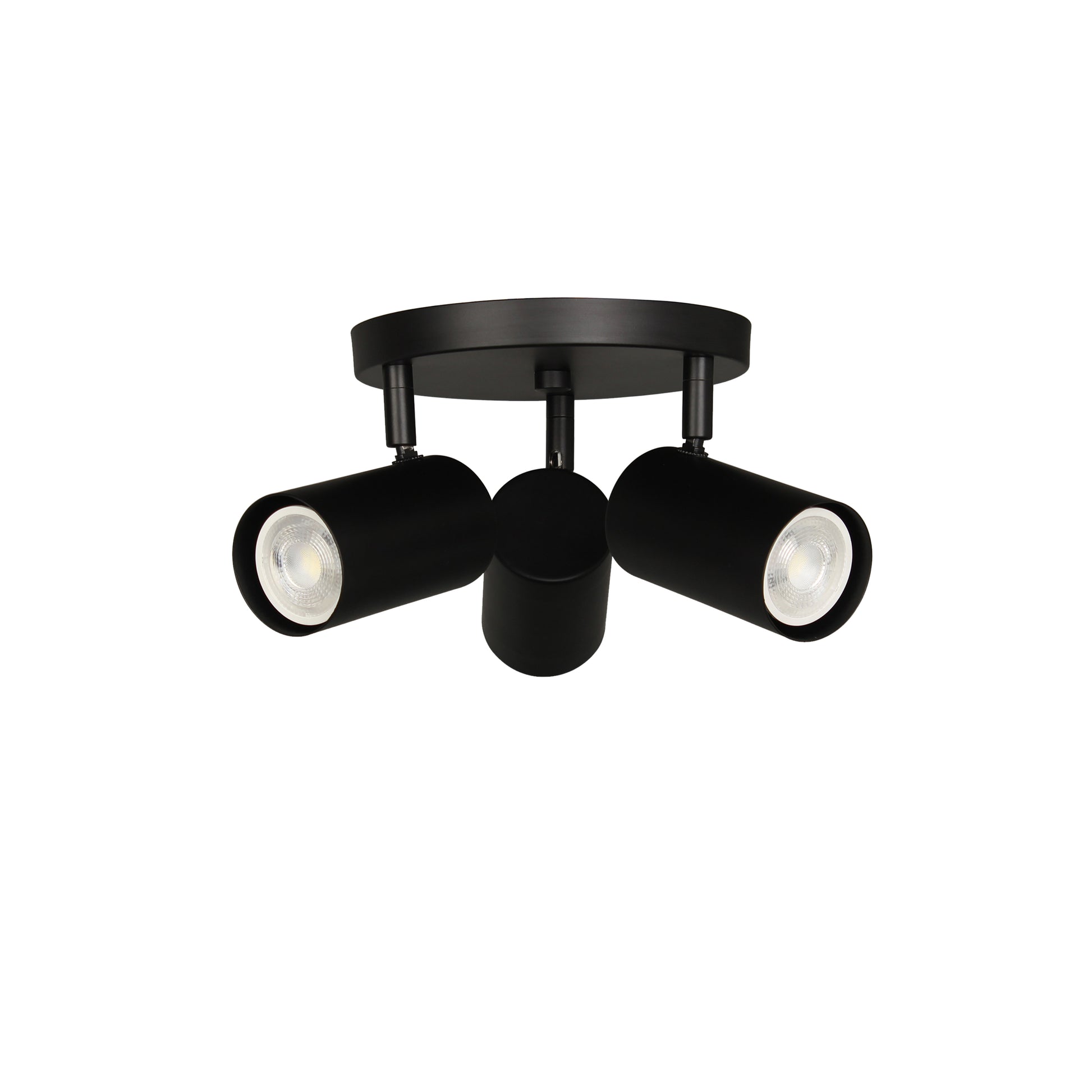 Taylor 3LT Track Light