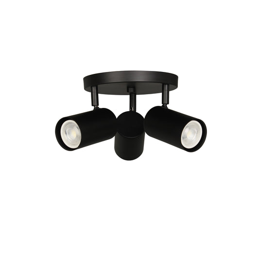 Taylor 3LT Track Light