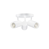 Taylor 3LT Track Light