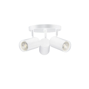 Taylor 3LT Track Light