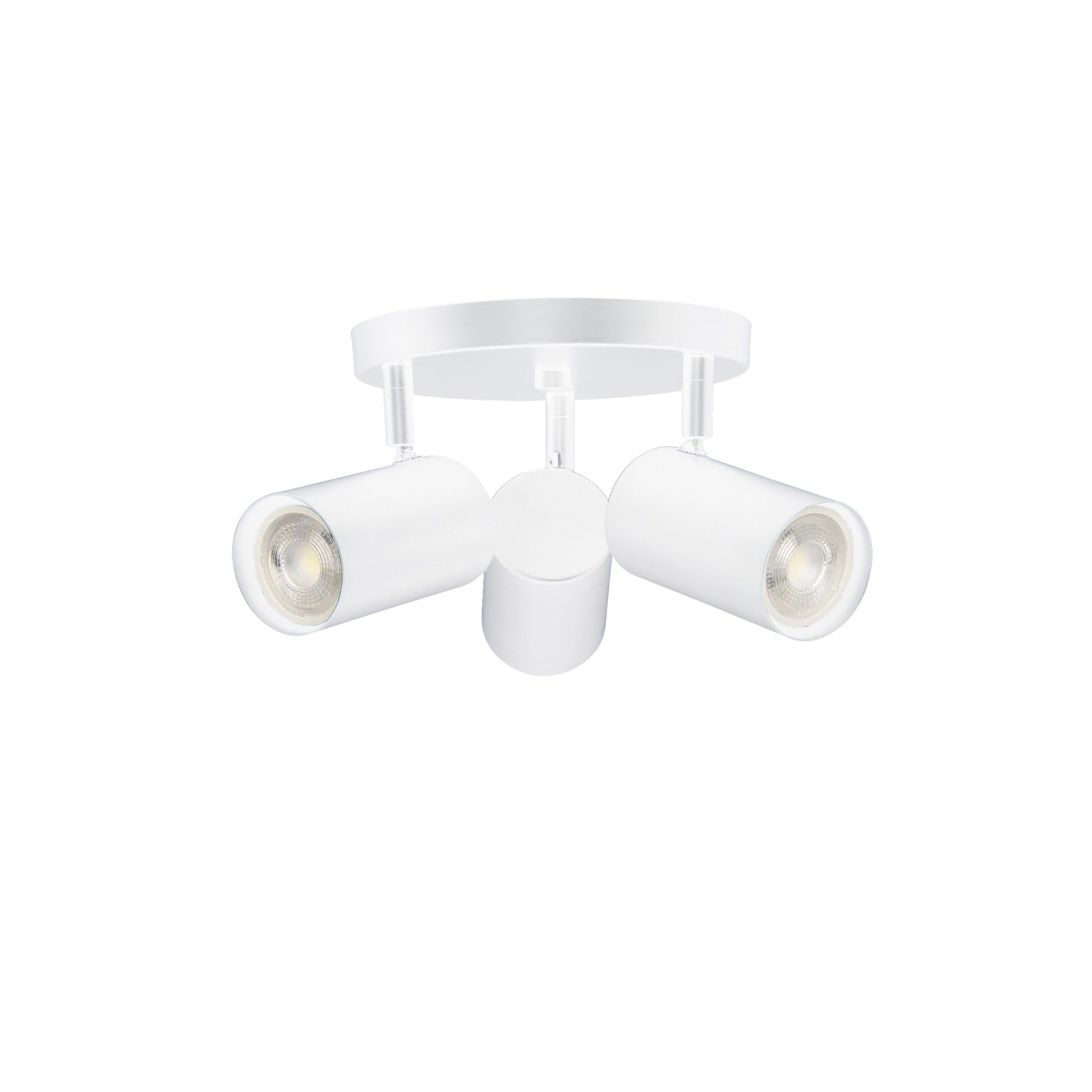 Taylor 3LT Track Light