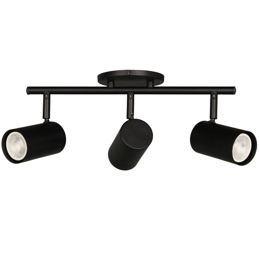 Taylor 3LT Track Light