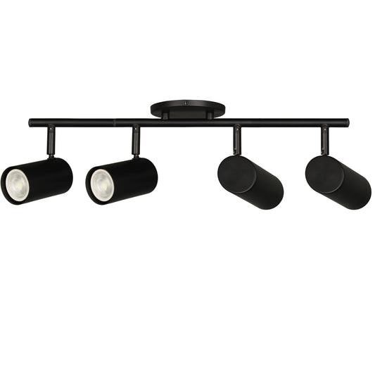 Taylor 4LT Track Light