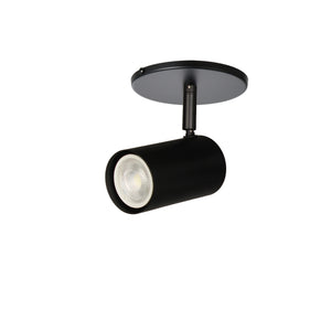 Taylor 1LT Track Light