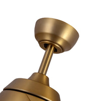 Thalia Ceiling Fan