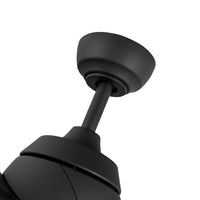 Thalia Ceiling Fan