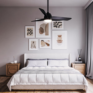 Thalia Ceiling Fan