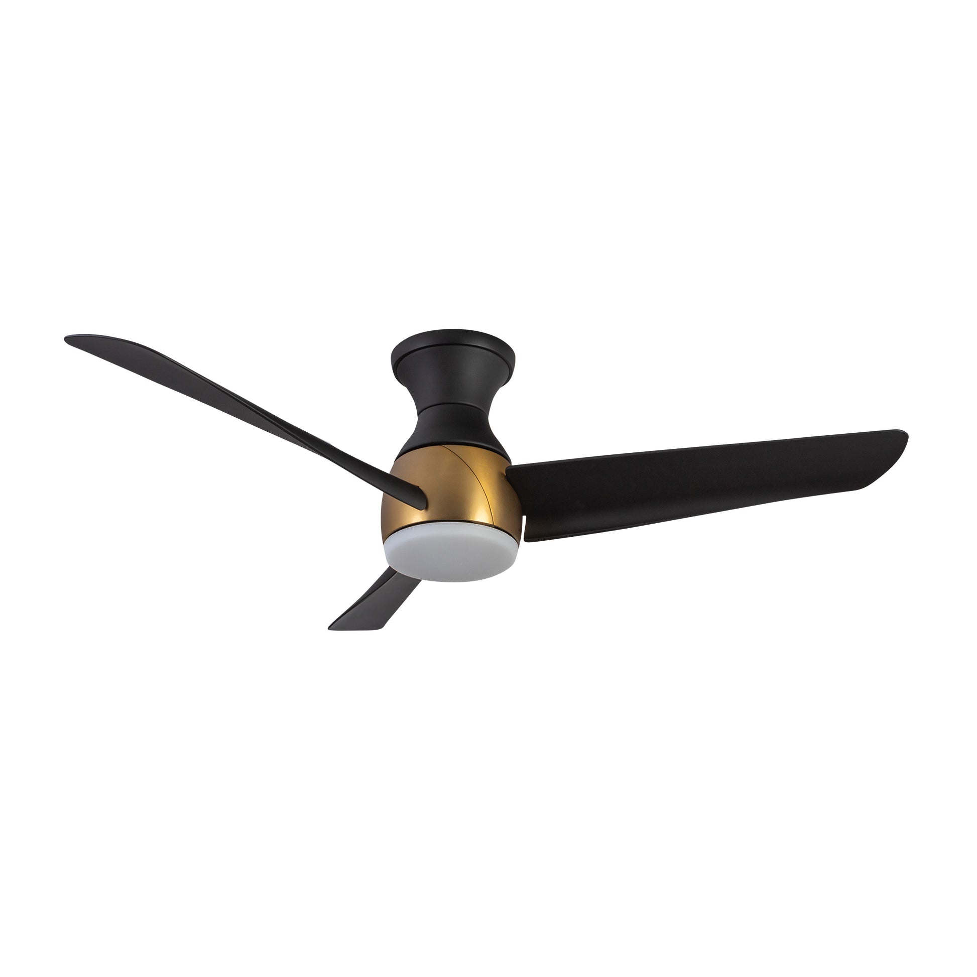Thalia Hugger Fan
