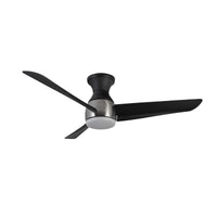 Thalia Hugger Fan