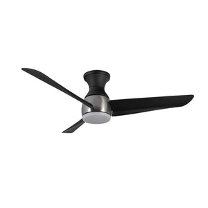 Thalia Hugger Fan
