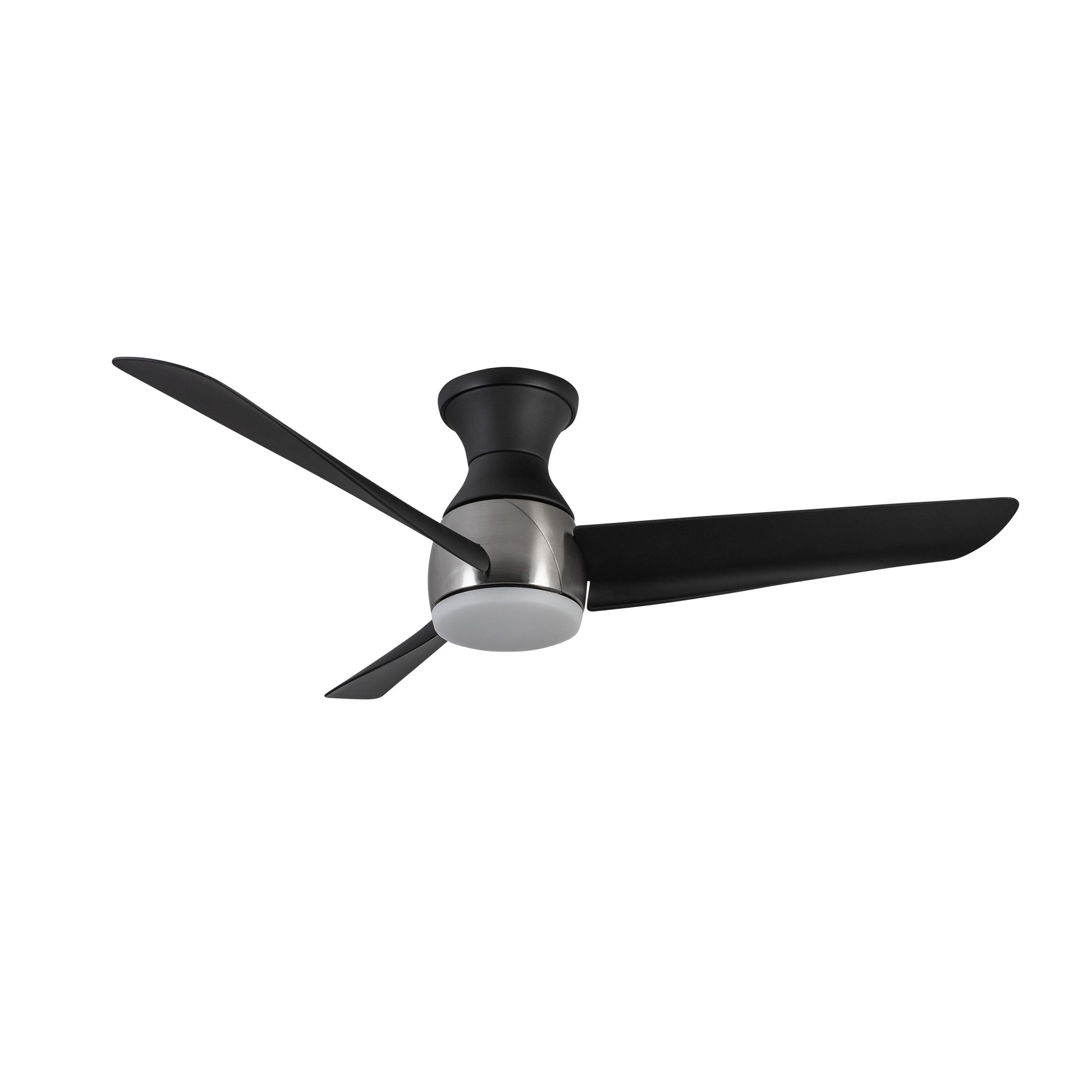 Thalia Hugger Fan