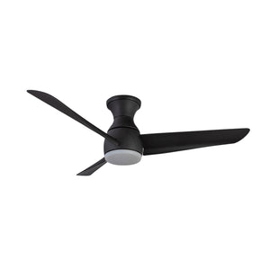 Thalia Hugger Fan