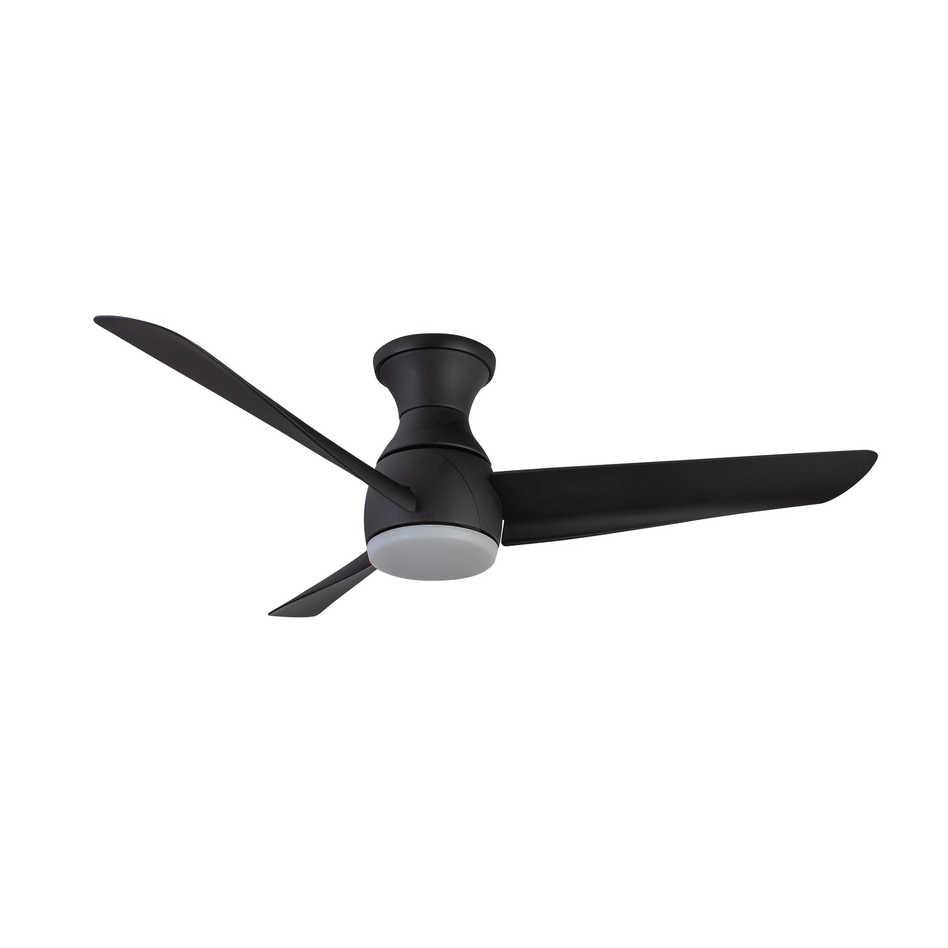 Thalia Hugger Fan
