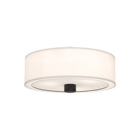 Theo Flush Mount