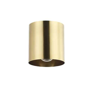 Theron 1LT Flush Mount