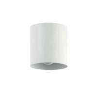 Theron 1LT Flush Mount