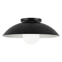 Umbra Semi-Flush Mount
