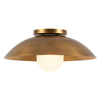 Umbra Semi-Flush Mount