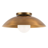 Umbra Semi-Flush Mount