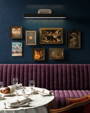 Valise Picture 32-in Picture Light