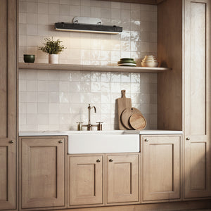Valise Wall/Vanity Light