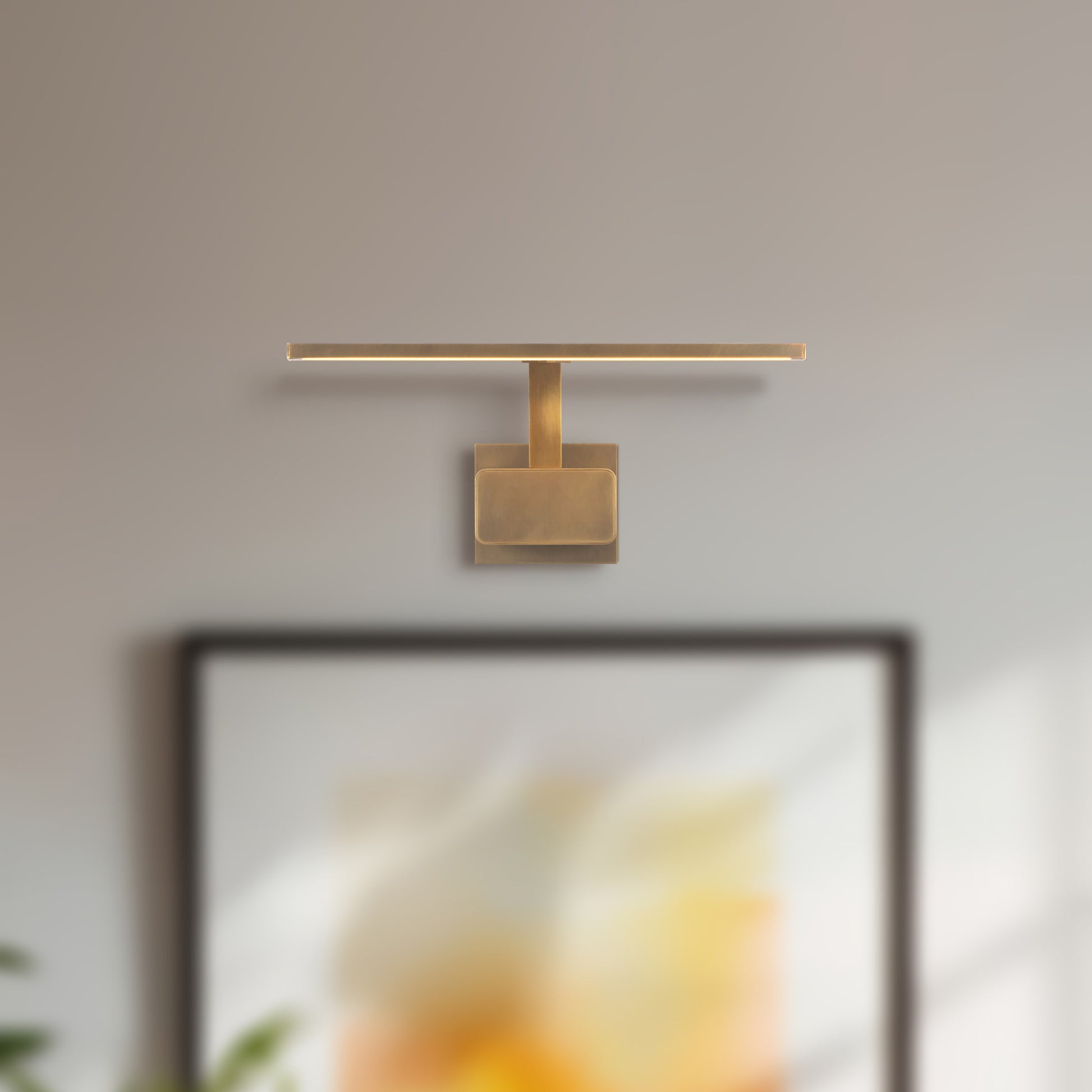 Vega Minor Picture Wall/Picture Light