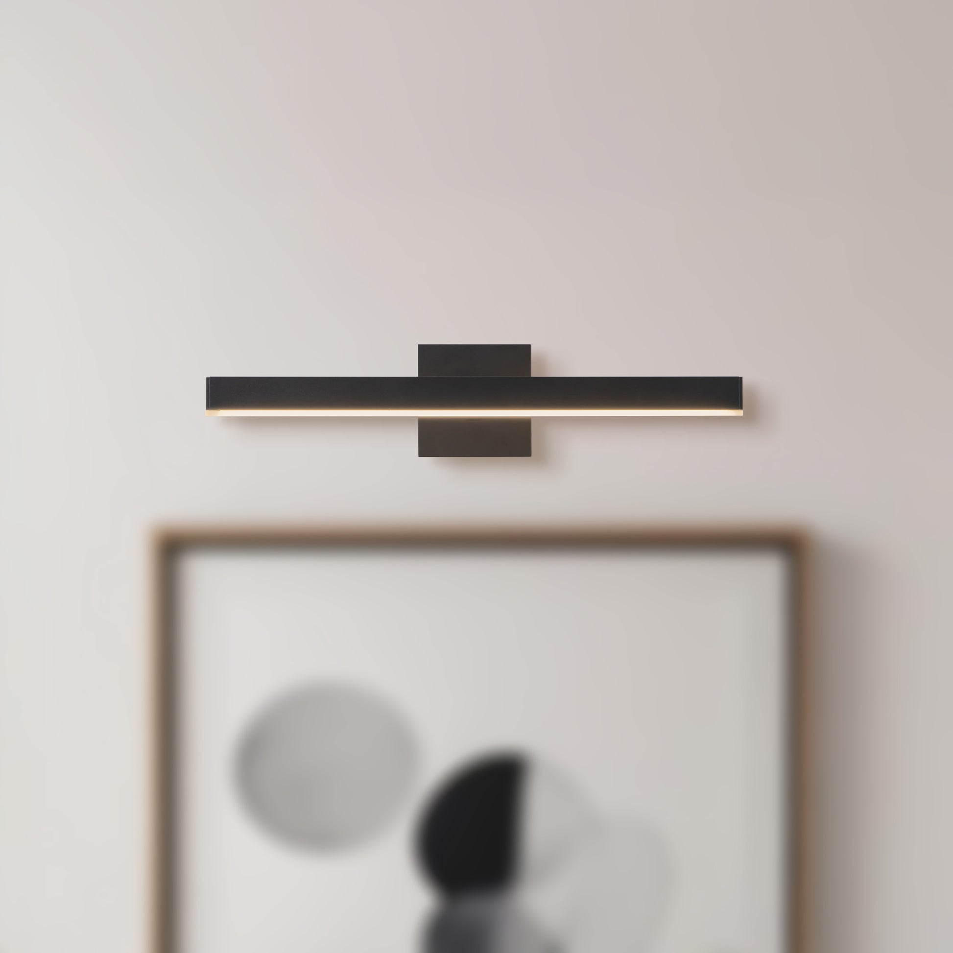 Vega Wall/Picture Light