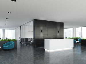 Vista 9-in Wall Sconce