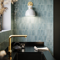 Waldo Wall/Vanity Light