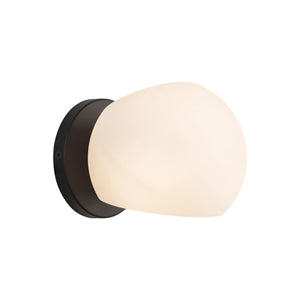 Willow Wall/Vanity Light