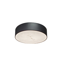 Walsh 20W Flush Mount