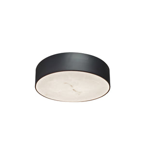 Walsh 20W Flush Mount